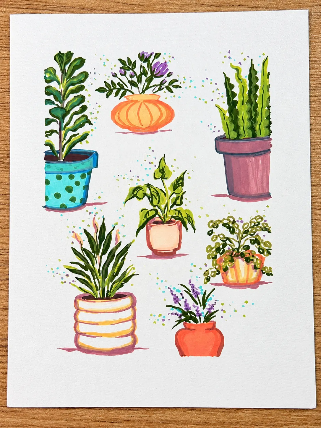 Collection of potted houseplants on a wooden table